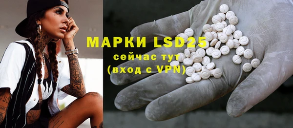 эйфоретик Болотное