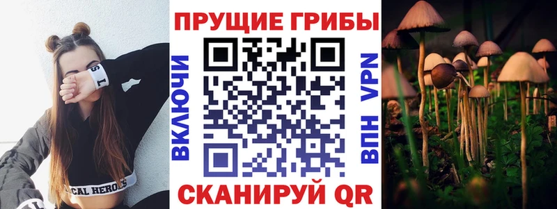 Псилоцибиновые грибы GOLDEN TEACHER  Горбатов 